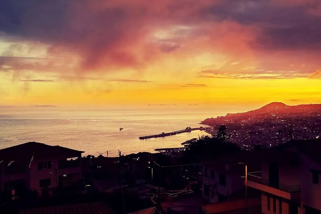 Villa Madeira Mit Blick Auf Den Hafen Funchal   Funchal (Madeira)